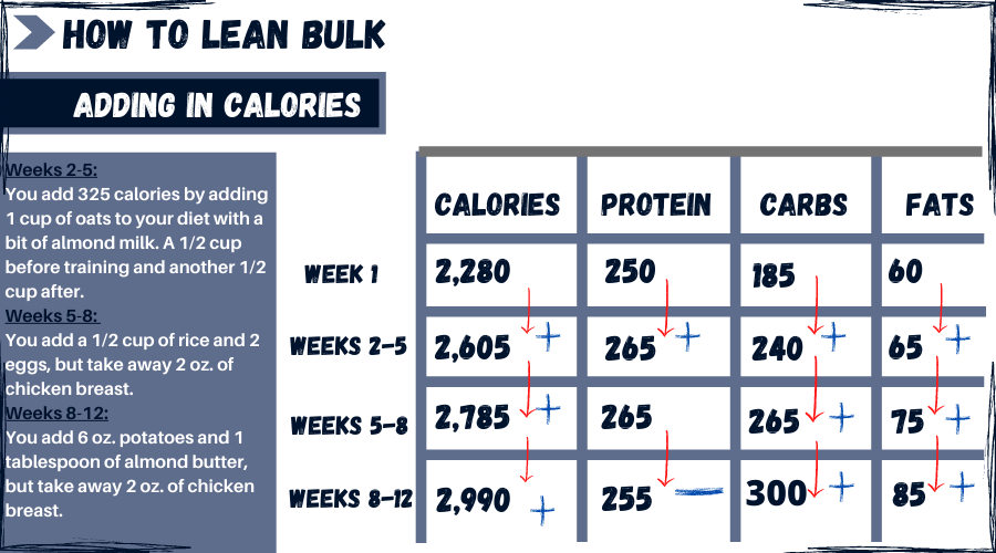 lean bulk